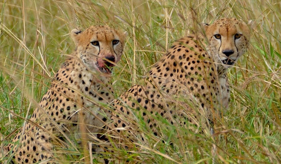 Kidepo Valley Landscape