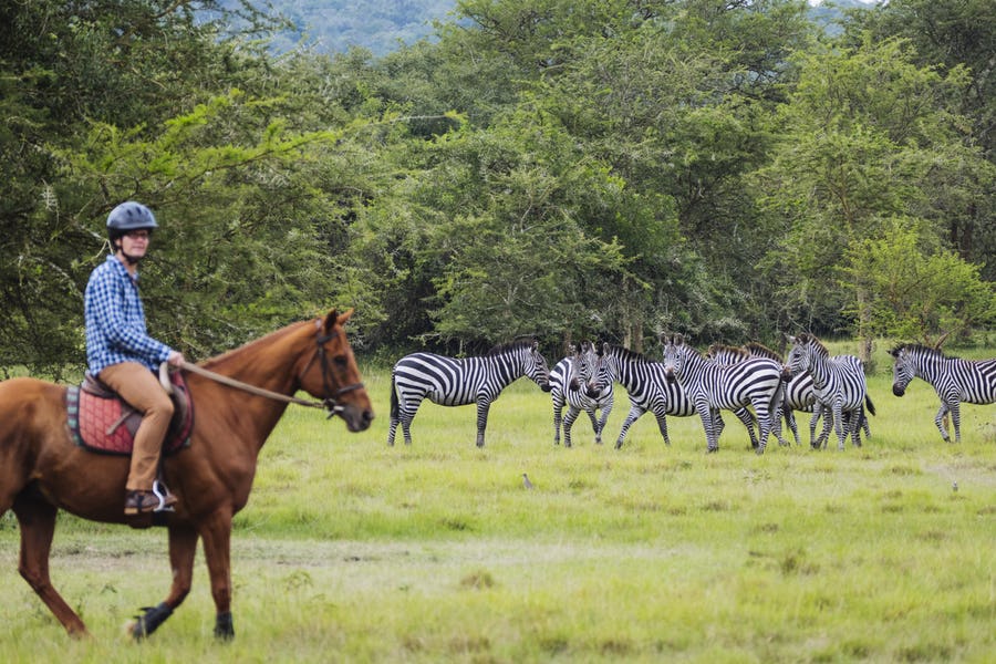 Horseback Safari Lake Mburo
