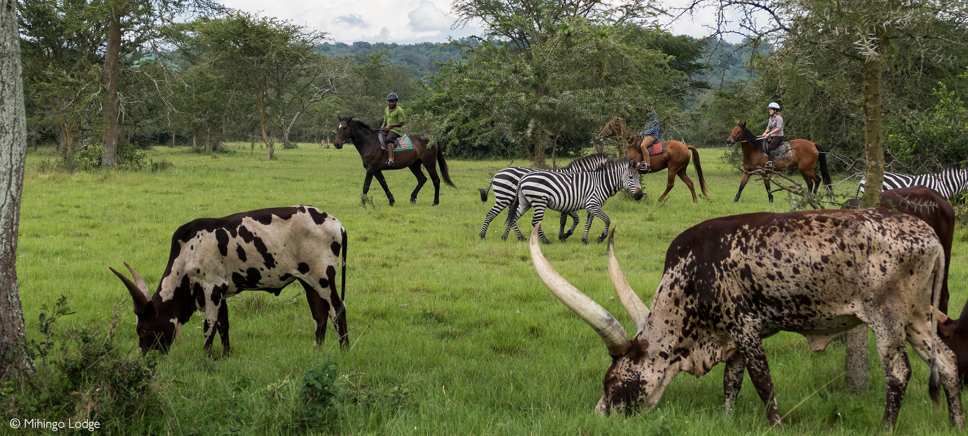 Boat Cruise on Lake Mburo